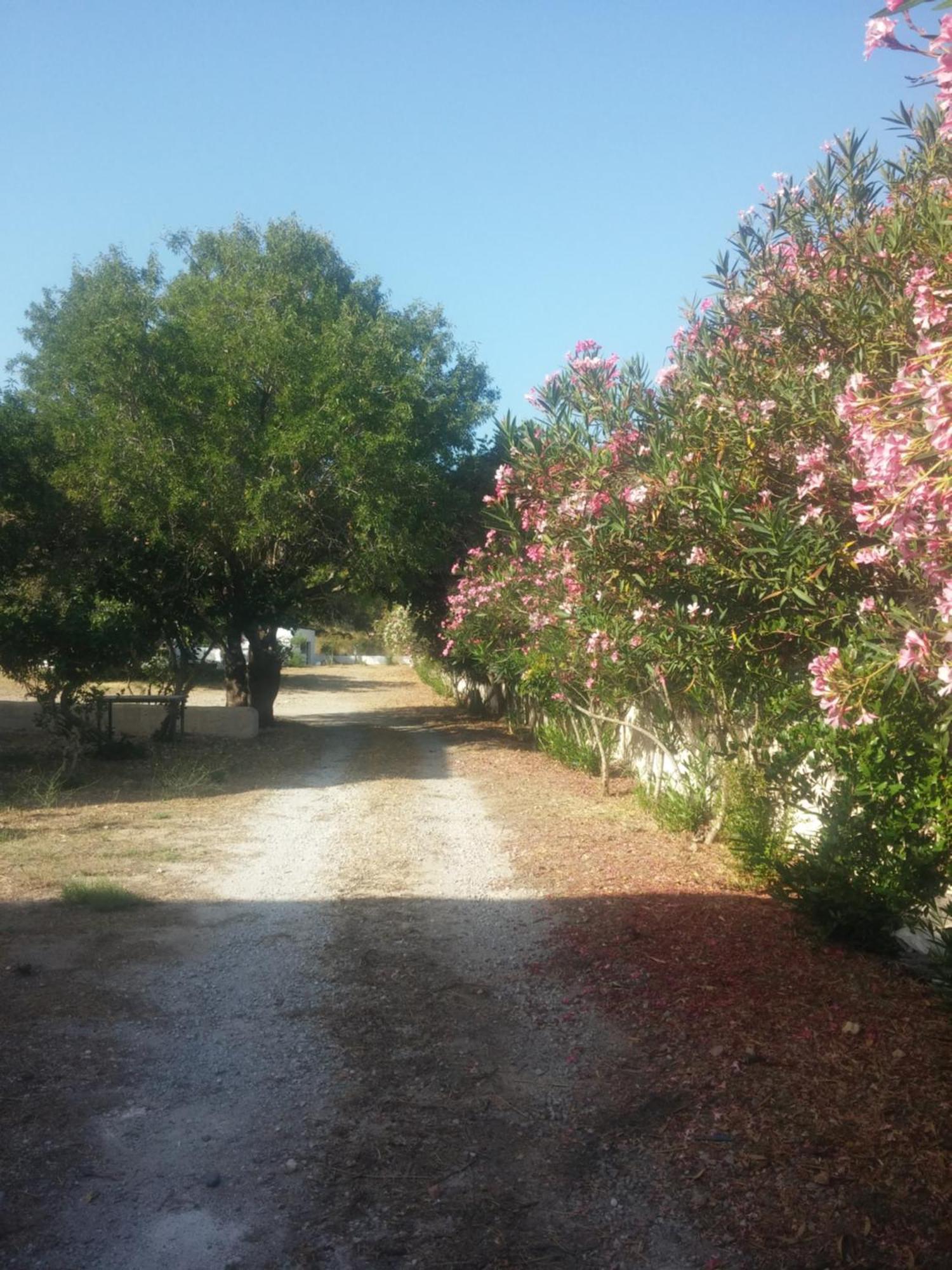 Ζini 2 Vila Kéfalos Exterior foto