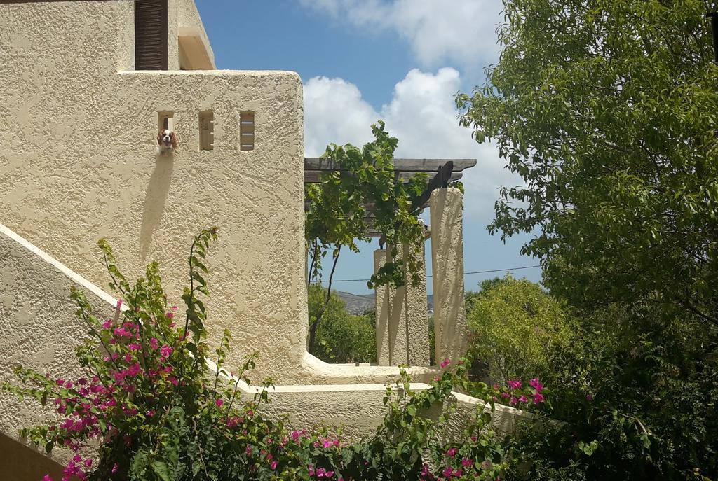 Ζini 2 Vila Kéfalos Exterior foto